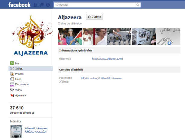 « Une capture d’écran d’une des faux pages créés par ces groupes pro régime algérien »